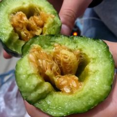 河北省唐山市乐亭县出售博洋九！！