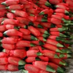 羊角蜜′星甜二十′博洋系列/绿宝