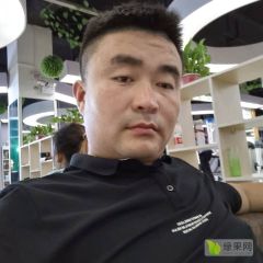 莘县博洋蜜瓜上市中