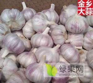 2021年山东金乡金乡大蒜价格