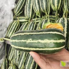 山东聊城莘县甜瓜