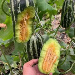 精品博洋系9大量上市中