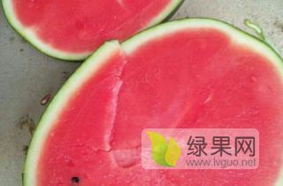 黑美人价格