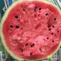 精品甜王，开始上市