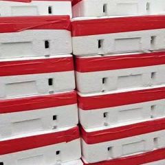 博洋九号大量上市中