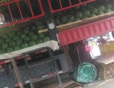 东莞市实力代卖西瓜，一天销售量能达到10万斤