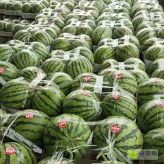 夏邑大量供应8424美都