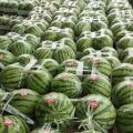 夏邑大量供应8424美都