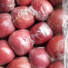 纸加膜富士片红和条红