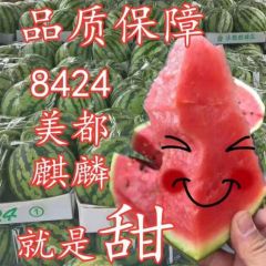 河南夏邑8424，美都，大量上市，产地直销。