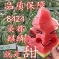 河南夏邑8424，美都，大量上市，产地直销。
