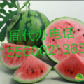 夏邑县西瓜河南商丘种植最大西瓜基地