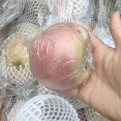 冠县本地冷库苹果常年供应