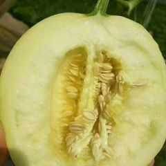 诚信第一，客户至上