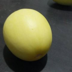 高官寨甜瓜 景甜5号