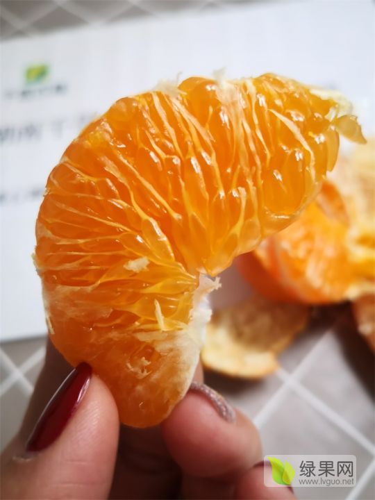 2021年湖南临澧甘平柑橘价格