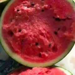 砀山县甜王西瓜开始上市！大个头！