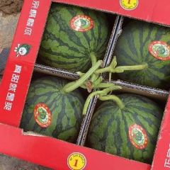 8424麒麟瓜大量供应中