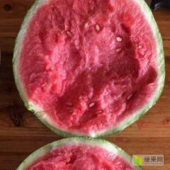 商丘夏邑8424、美都产地行情价格 【产地代办、代发】