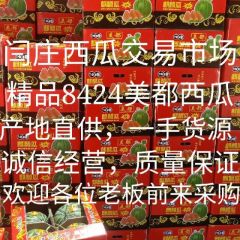 太康县板桥镇闫庄西瓜交易市场，专业供应8424美都西瓜