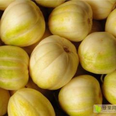 大量求购，皮毛必须亮，口感好，大量收货