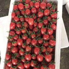 莘县千禧果，贝贝果大量上市中，诚信合作。