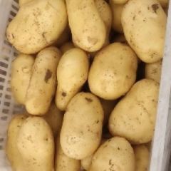 【热卖】精品三模大量上市！产地直发！物流全国！