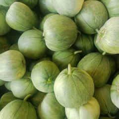 甜瓜产地直供价格美丽诚信代办官方推荐一次机会的