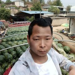 云南甜王西瓜