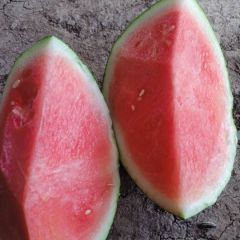 云南楚雄美都 无籽麒麟西瓜