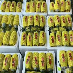 惠民博洋61大量上市中