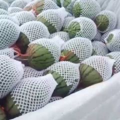 吊篮西瓜果型好，口感鲜美。