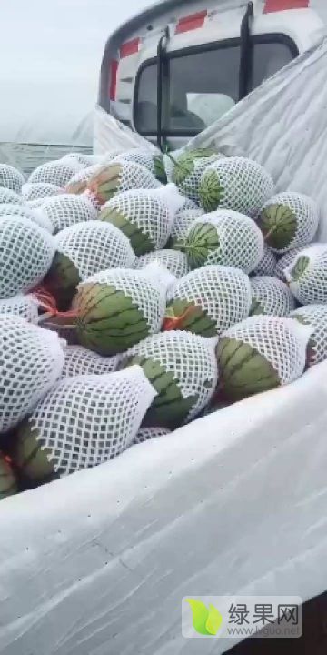 吊篮西瓜价格