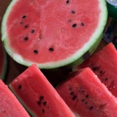 砀山甜王种植基地代办张永会