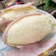 2021年广东阳西薯上市销售了