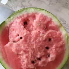 河北宁晋甜王西瓜熟了