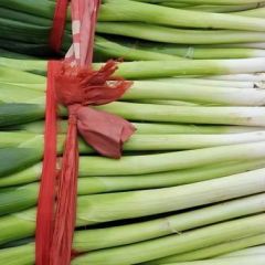 优质大葱供应／代销