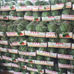 大棚美都现已全面上市，欢迎各地客商