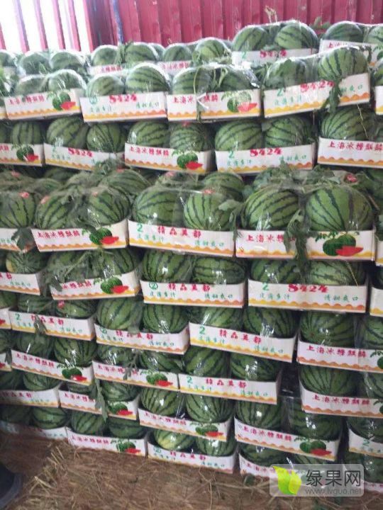 美都价格