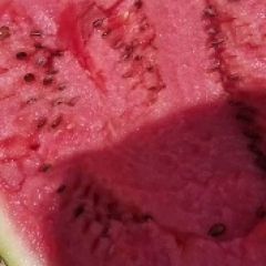 优质精品甜王西瓜