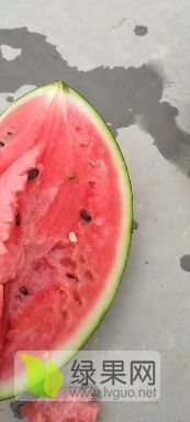 陕西精品甜王西瓜大量出货中