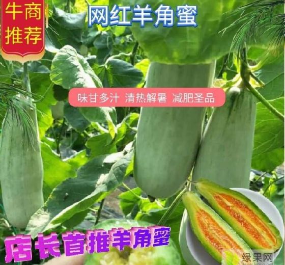 2021年山东寿光网红羊角蜜价格