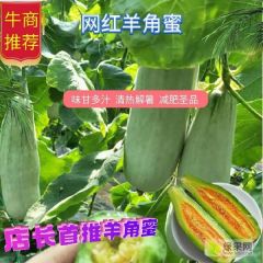 山东潍坊羊角蜜清脆可口，价格现在是1.6－3.，又香又甜_寿光田马代