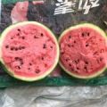 8424西瓜 大量供应！保质保量 欢迎咨询