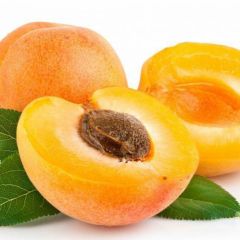 大茘凯特杏产地直供