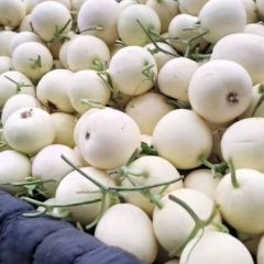 甜瓜大批量供应，货多价低