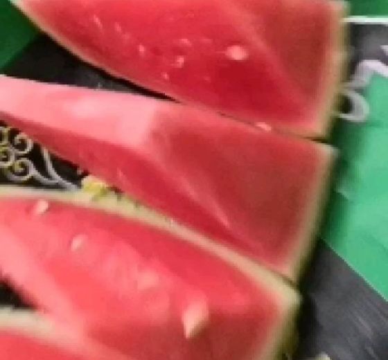 8424西瓜价格