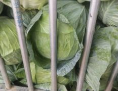 新扁包大量上市供应中