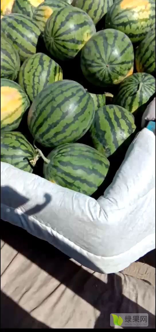 安生1810价格
