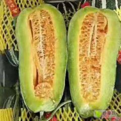 甜瓜大量供货中，货源充足。价格稳定。